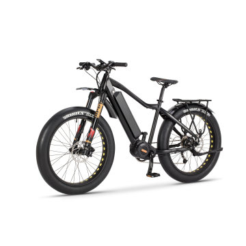2019 Novo design 8fun / Bafang 48V 750 W E-bike com pneu gordo